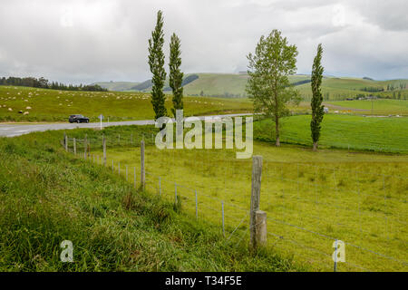 Geraldine fairlie highway hi-res stock photography and images - Alamy