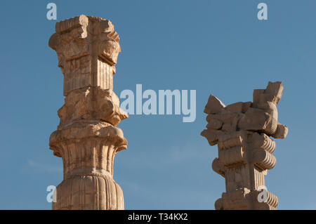Columns in the Apadana, Perspeolis, Marvdasht, Fars Province, Iran Stock Photo