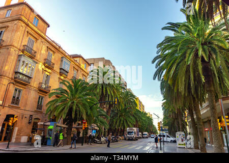 Malaga, Spain 04. 03. 2019: Big green palm trees on the Alameda de colon street in the city of Malaga Spain mediterrean cityscape Stock Photo