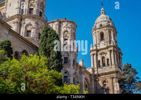 Cathedral of the Incarnation in Malaga, Spain in the garden in sunshine Stock Photo