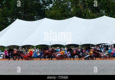 Pinehurst, North Carolina, USA. 3rd Apr, 2019. April 6, 2019 - Pinehurst, N.C., USA - POLIE MALLAR and ALLYOUDOISTALK (5) leads the field down the backstretch in the third race during the 70th annual Spring Matinee Harness races sponsored by the Pinehurst Driving & Training Club, at the Pinehurst Harness Track, Pinehurst, North Carolina. This year's races commemorate the 104th anniversary of the track. Credit: Timothy L. Hale/ZUMA Wire/Alamy Live News Stock Photo