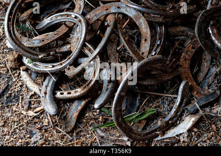 Pinehurst, North Carolina, USA. 3rd Apr, 2019. April 6, 2019 - Pinehurst, N.C., USA - Used horse shoes lay in a corner of a stable before the 70th annual Spring Matinee Harness races sponsored by the Pinehurst Driving & Training Club, at the Pinehurst Harness Track, Pinehurst, North Carolina. This year's races commemorate the 104th anniversary of the track. Credit: Timothy L. Hale/ZUMA Wire/Alamy Live News Stock Photo