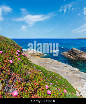 Summer blossoming Atlantic coastline landscape with pink flowers (Spain). Two shots stitch image. Stock Photo