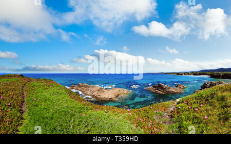 Summer blossoming Atlantic coastline landscape with pink flowers and two beaches Xuncos and Castros (Spain). Stock Photo