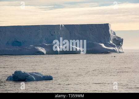 A tabular iceberg in Crystal sound, Antarctica. Stock Photo