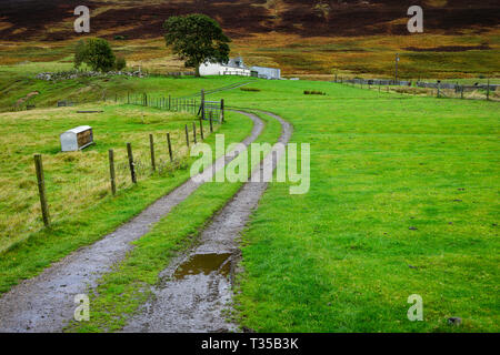 Two-track driveway leading up a hill to the farmhouse on the A897 in Scotland. Stock Photo