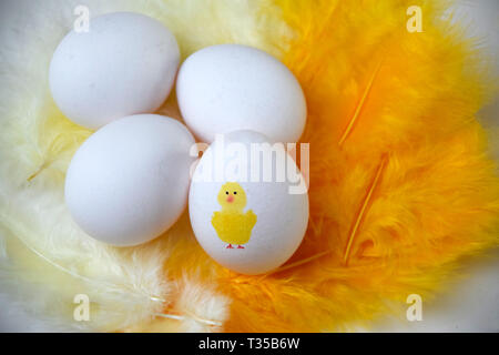 Eggs for Easter breakfast on yellow feathers. One egg has a cute yellow chicken painted on it Stock Photo