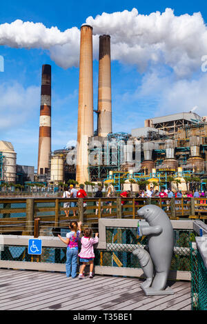 Manatee viewing center, Big Bend Power Station, Tampa Electric, Apollo beach, Florida, Usa Stock Photo