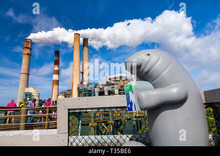 Manatee viewing center, Big Bend Power Station, Tampa Electric, Apollo beach, Florida, Usa Stock Photo