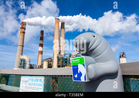 Manatee viewing center, Big Bend Power Station, Tampa Electric, Apollo beach, Florida, Usa Stock Photo