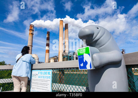 Manatee viewing center, Big Bend Power Station, Tampa Electric, Apollo beach, Florida, Usa Stock Photo