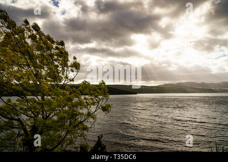 A wind blown tree in the foreground as crepuscular rays shine down on the surface of Loch Ness, Scotland. Stock Photo