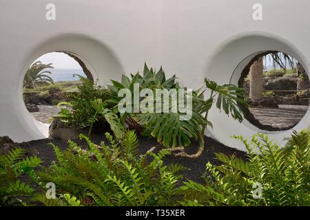 Indoor plants at Jameos del Agua, a tourist attraction within a lava tube designed by Cesar Manrique, with round porthole windows, Lanzarote. Stock Photo