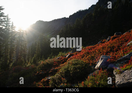 Mountainous terrain seen from Artist Point Stock Photo