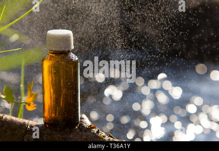 Naturopathy - essential oils and medical herbs. Natural remedies - medicines. Stock Photo