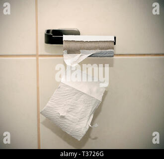 Empty loo roll Stock Photo