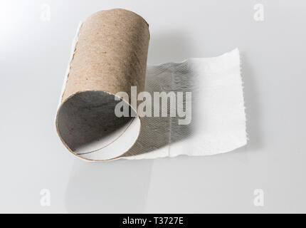 Empty loo roll Stock Photo