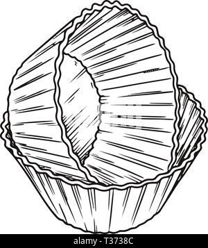 Sketch silicone forms for cooking muffin isolated on white background. Vector Stock Vector