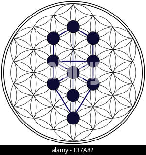 geometry kabbalah tree of life alchemy jewish hebrew numerology spiritual illustration Stock Photo