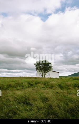A lone small house trying to hide behind a small tree in a remote grassland landscape Stock Photo
