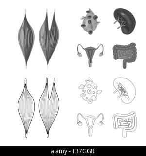 Vector design of biology and scientific logo. Collection of biology and laboratory vector icon for stock. Stock Vector