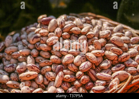 Dried Borlotti beans closeup, showing the red and white patterns of the beans Stock Photo