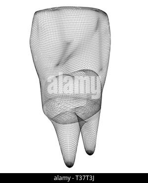 Tooth Socket Mesh Mesh model of tooth. 3d illustration Stock Photo - Alamy