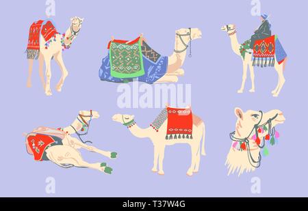 set of egyptian camel decorated with bright carpets and ornaments in minimalistic hand drawing style, vector illustration collection Stock Vector
