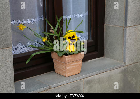 Pots with pansies are on the windowsill Stock Photo