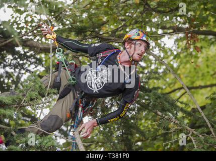 Christchurch, Canterbury, New Zealand. 7th Apr, 2019. TERRY BOSTON of Darwin, Australia, competes in the Asia-Pacific Tree Climbing Masters' Challenge Championships in the Christchurch Botanic Gardens. Competitors vie in a series of tests of agility, speed and skill. Boston finished third in the competition. Credit: PJ Heller/ZUMA Wire/Alamy Live News Stock Photo