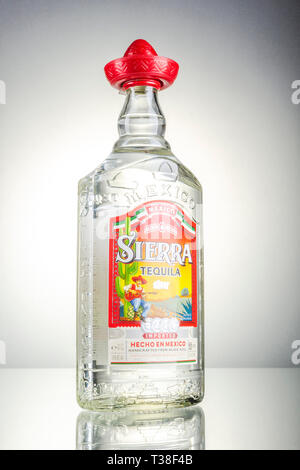 Sierra tequila on gradient background Stock Photo