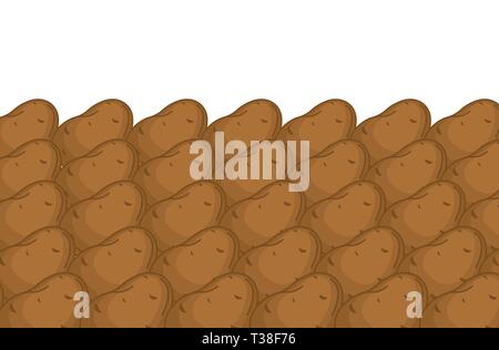 Potato on counter background. Potatoes on market showcase. vegetable Cartoon style vector  Stock Vector