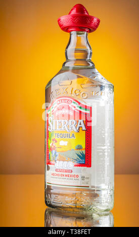 Sierra tequila on gradient background Stock Photo