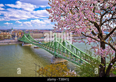 Budapest Danube river and Liberty bridge panoramic springtime view, capital of Hungary Stock Photo