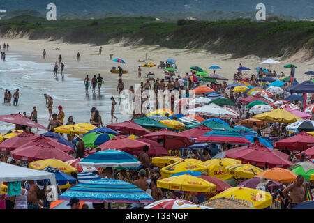 2019, January. Florianopolis, Brazil. Crowded beach full of umbrellas, in Joaquina Beach. Stock Photo