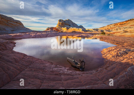 White Pocket in Vermillion Cliffs National Monument, Arizona, USA Stock Photo