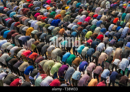 Pilgrims praying at Bishwa Ijtema, Dhaka, Bangladesh Stock Photo