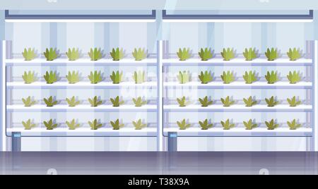 modern organic hydroponic vertical farm interior agriculture smart farming system concept green plants growing industry horizontal flat vector illustr Stock Vector