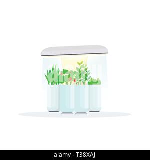 modern indoor fruits and vegetables garden digital greenhouse electronic terrarium farm glass container eco farming house plants growing concept flat  Stock Vector
