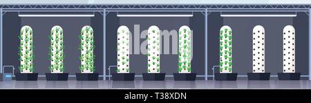 modern organic hydroponic vertical farm interior agriculture smart farming system concept green plants growing industry horizontal banner flat vector  Stock Vector