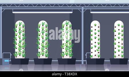 modern organic hydroponic vertical farm interior agriculture smart farming system concept green plants growing industry horizontal flat vector illustr Stock Vector