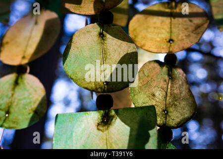 Abstract dirty glass wind chimes with sunlight glowing Stock Photo