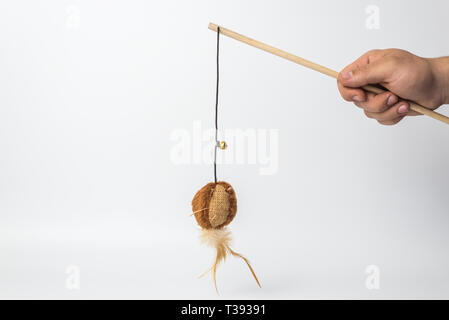 Cat Toy with a man hand on white background Stock Photo