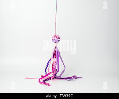 Cat Toy with a purple and pink band Stock Photo