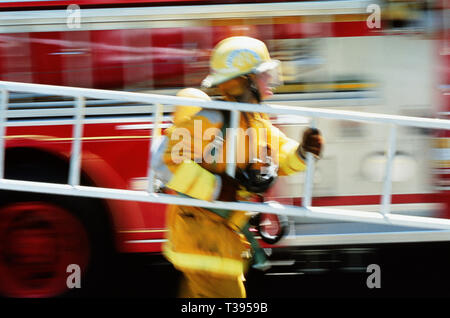 A fireman in full turnouts is carrying a ladder at a fire site, USA Stock Photo