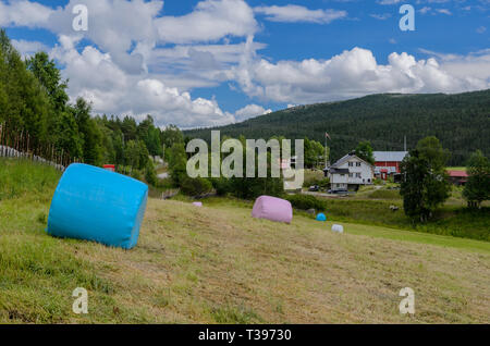 Gathered field of Atnbrua with straw bales Stock Photo