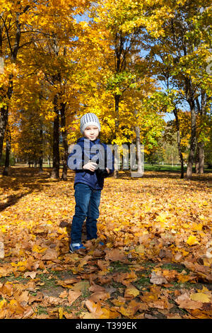 Young boy using mobile in Park High definition image 6914212 Stock Photo at  Vecteezy