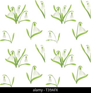 Snowdrop seamless pattern, cute cartoon vector illustration on white background. Cute cartoon snowdrops in seamless pattern on white background Stock Vector