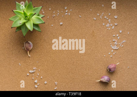 Photo background with Himalayan salt, potted plant and garlic. Flat lay. The view from the top. Cork background. Stock Photo