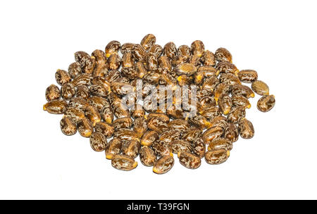 close up of castor oil beans,ricinus seeds on a white background. Stock Photo